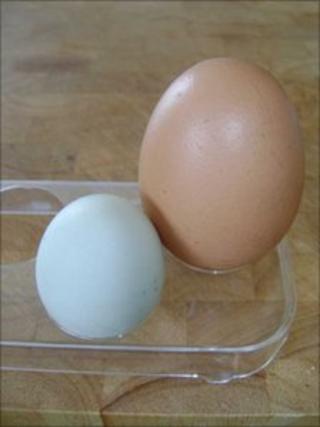 Large and small eggs