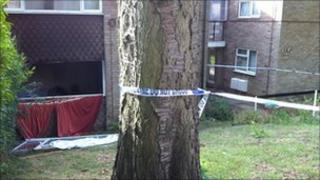Stevenage flat fire