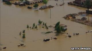 Farmers lead their animals through floodwaters in Pakistan