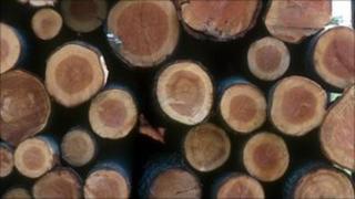 Logs generic