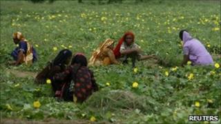 Farmers in Pakistan