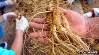 Ginseng (file photo)