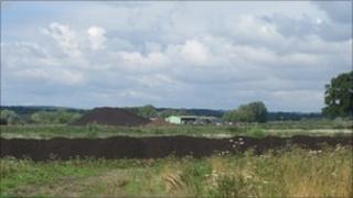 Peat on the Somerset Levels