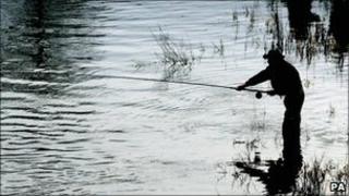 Angler generic