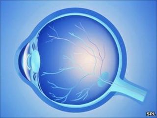 Image of the human eye