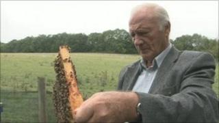Ron Hoskins with bees