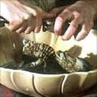 Oysters
