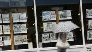 Estate agent's window