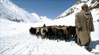 Гималайский пастух на леднике