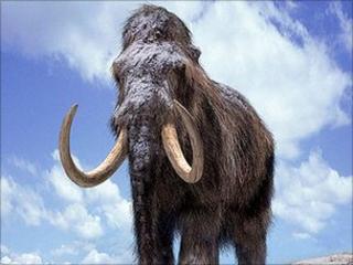 Artist's impression of mammoths (BBC)