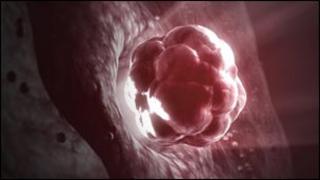 The release of a human egg