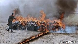 Narcotics being burnt in Afghanistan