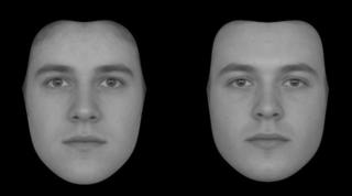 composite pic from stress study