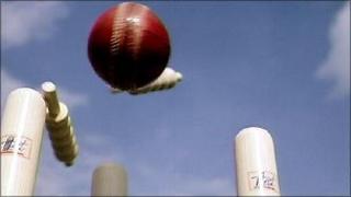 Cricket ball hitting stumps