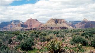 The Grand Canyon