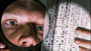 DNA fingerprinting