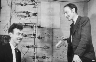 James Watson and Francis Crick