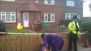 Scene at Aspley Lane