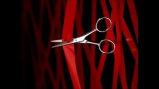 pair of scissors