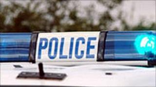 Police car light