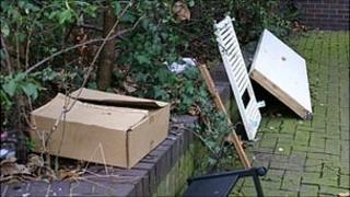 Litter generic