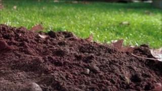 Soil