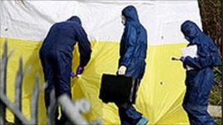 Forensic tent