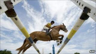 Horse jumping hurdle