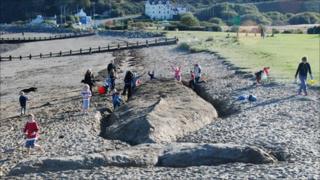 Giant whale sculpture near Fishguard Harbour
