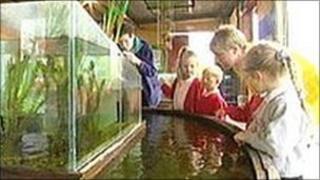 Children visit the Earth Centre