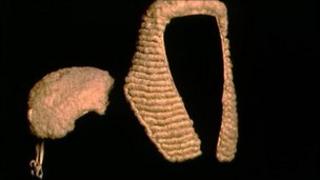 judge's wig generic