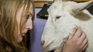 Maya Dunthorpe and her goat Stan (picture by Mark Marlow)