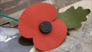 Royal British Legion poppy