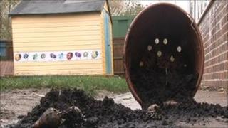 Plant pot knocked over