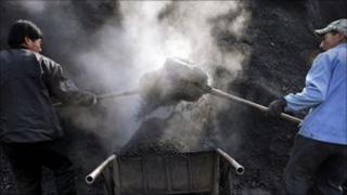 Coal