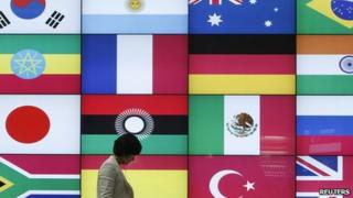 A woman walks by a signboard showing flags of the participating countries for the upcoming G20 Seoul Summit