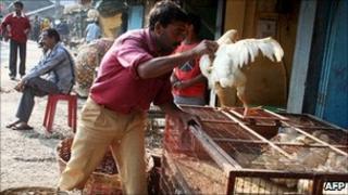 Labourer in West Bengal