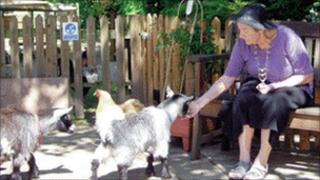 Care home resident with animals