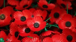 Poppies