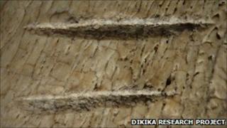 Bone marks (Dikika Research Project)