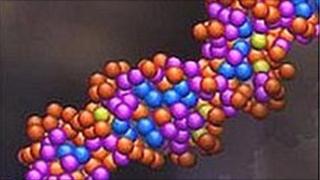 DNA