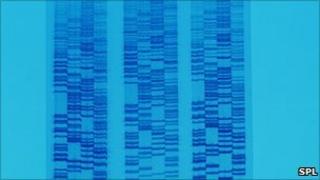 DNA generic