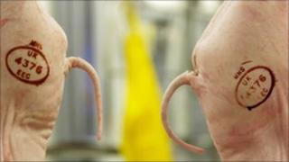Pig carcasses in an abattoir
