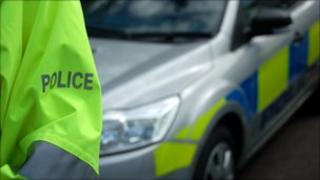 policeman and police car