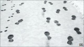 Footprints in snow