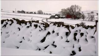 Dry stone wall covered in snow in field
