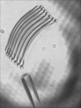 Image of lightfoil movement (Nature Photonics)