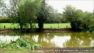 The pond in West Isley