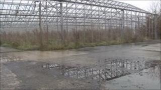 Greenhouse