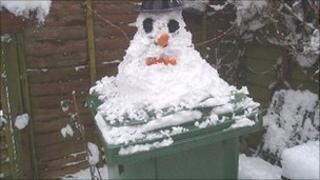 Snowy bin